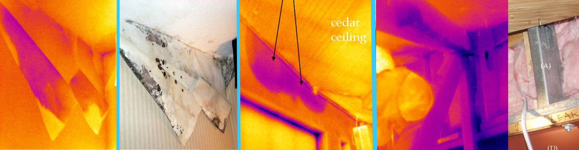 Building Moisture Intrusion